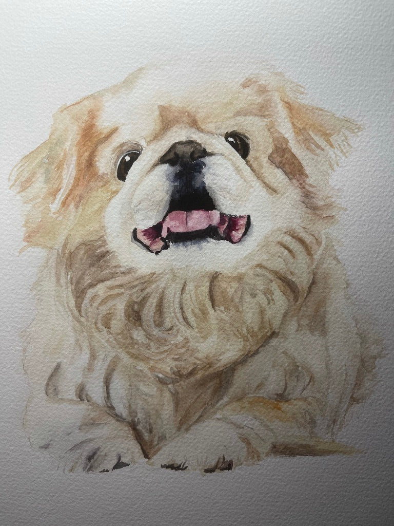 Custom Pet Portrait Deposit