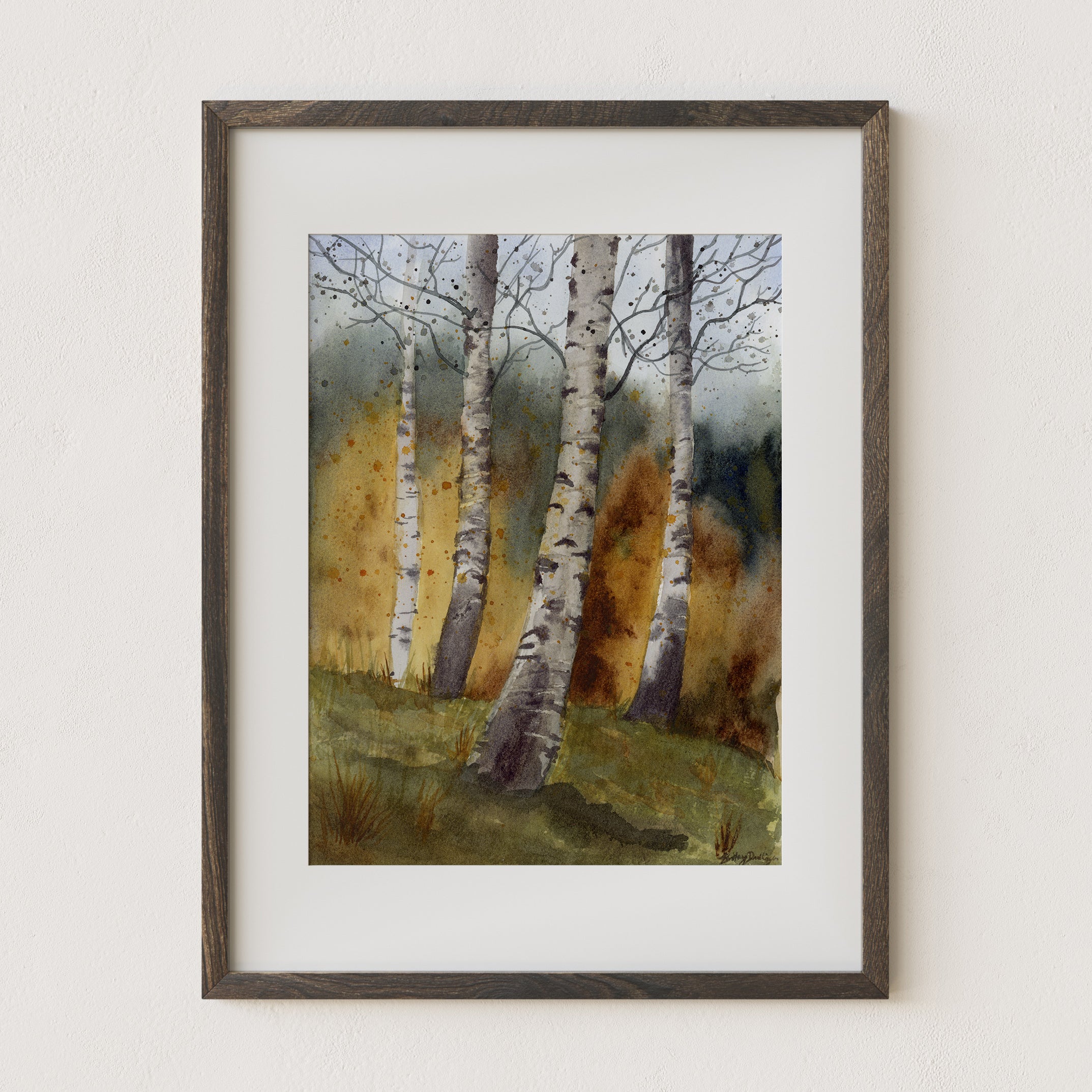 Birch Trees in Autumn