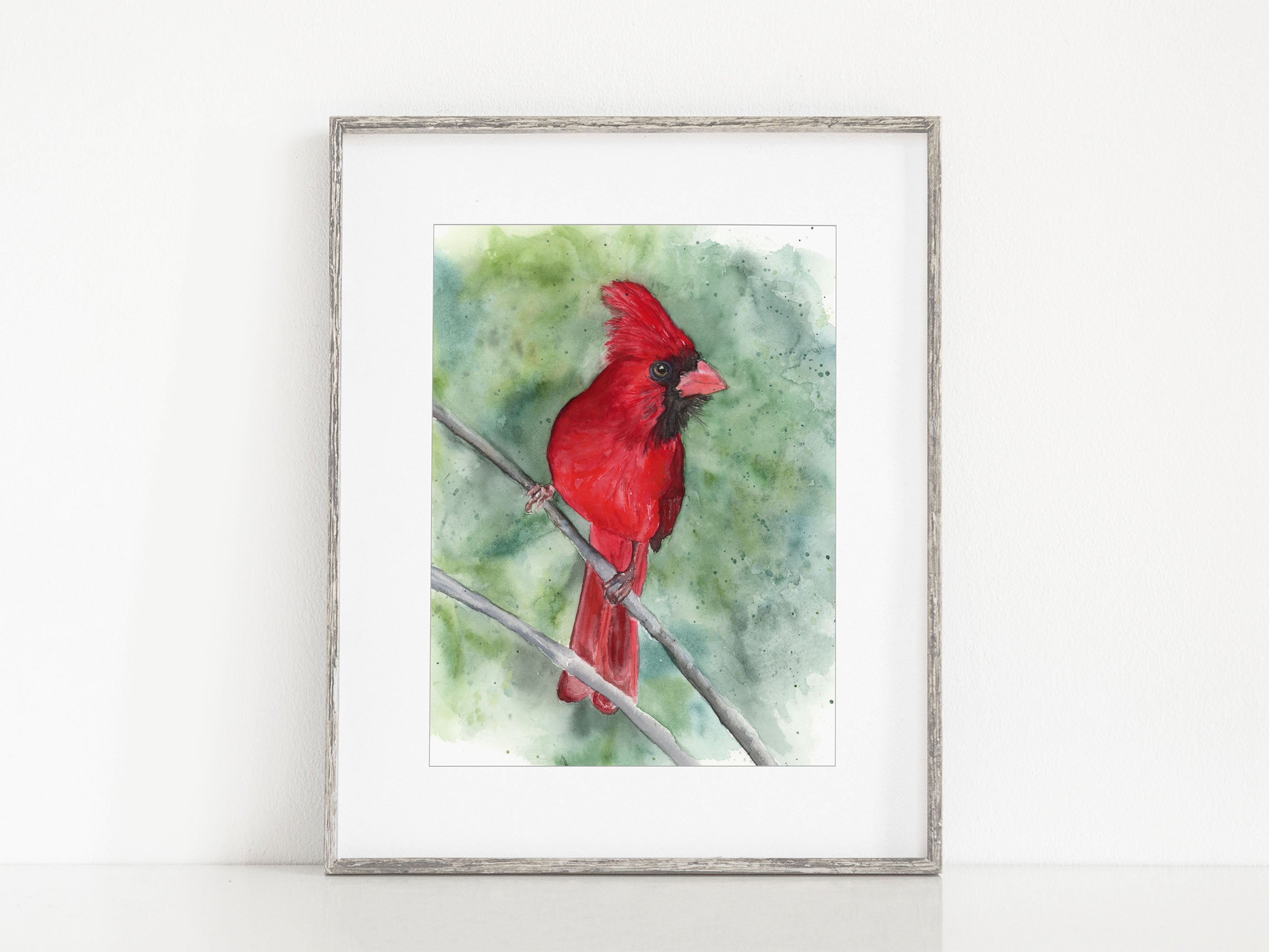 Cardinal on his Perch