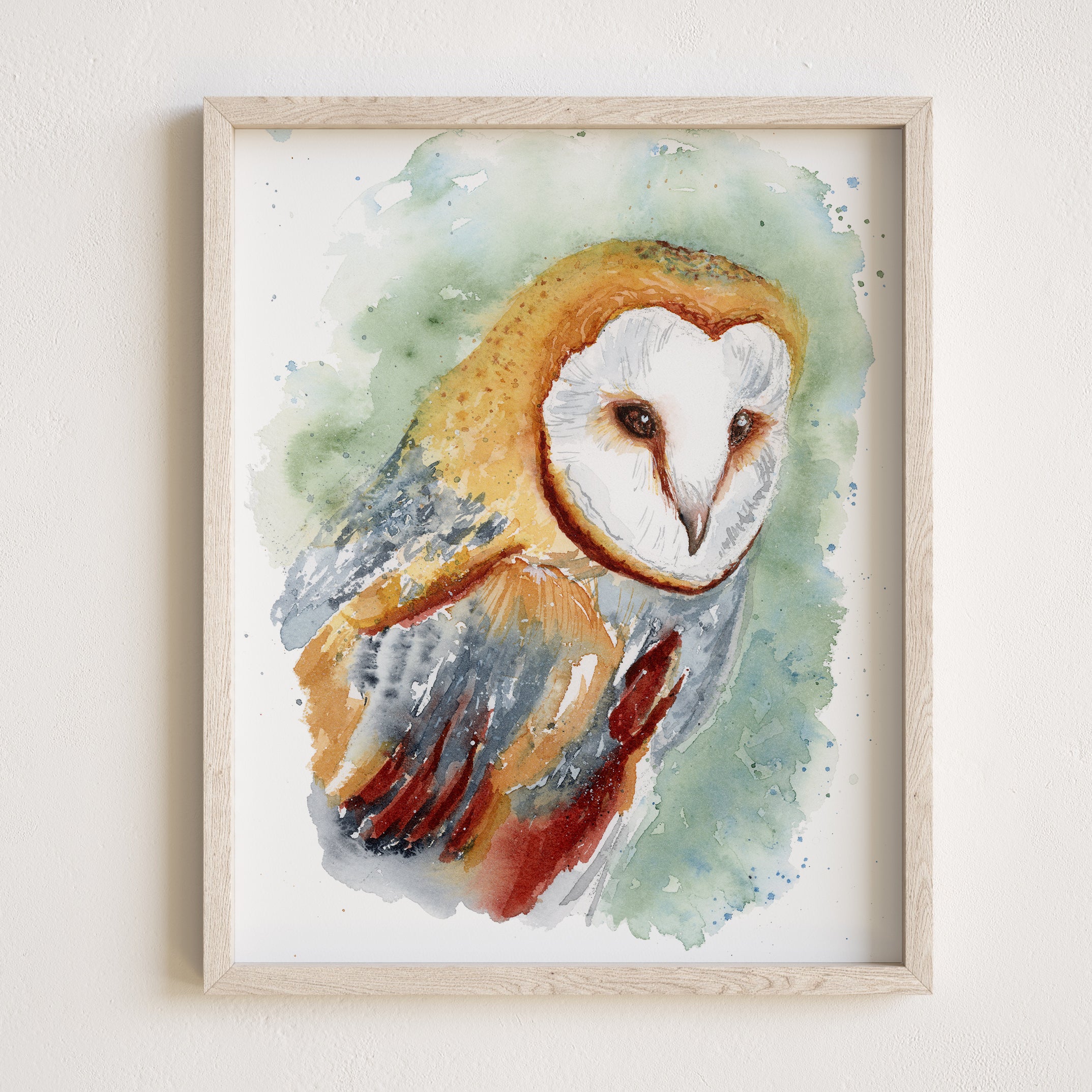 Barn Owl