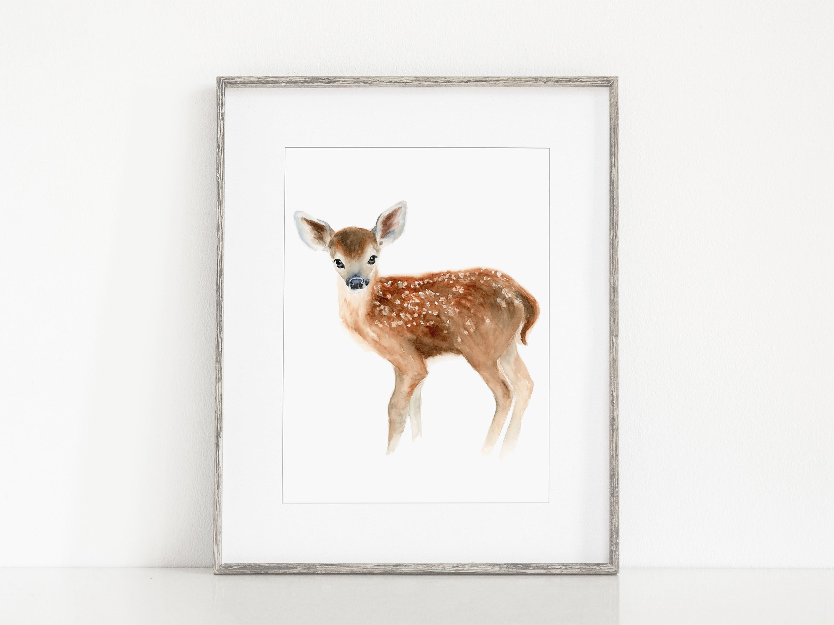 Little Fawn