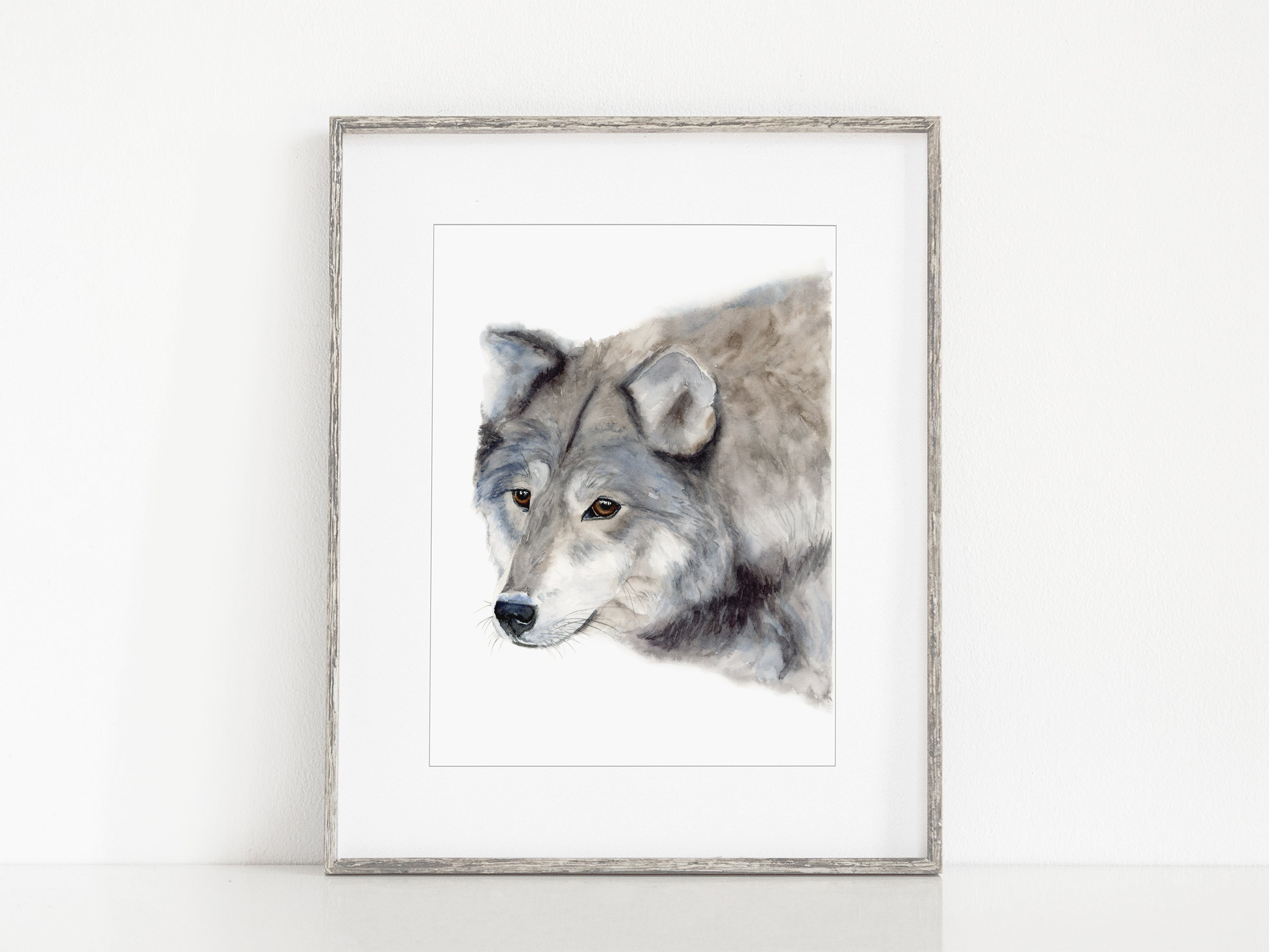 Grey Wolf