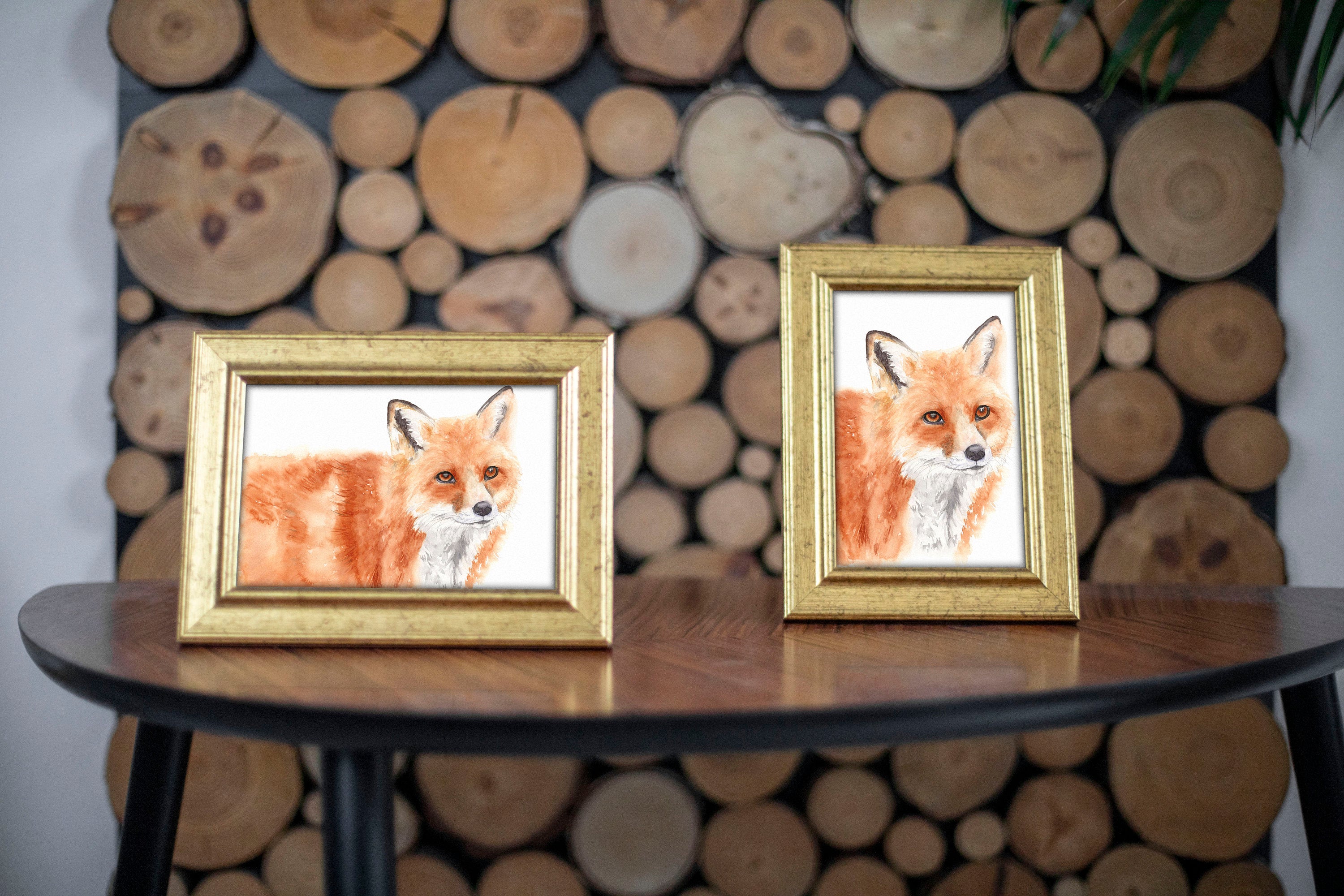 Red the Sweet Fox