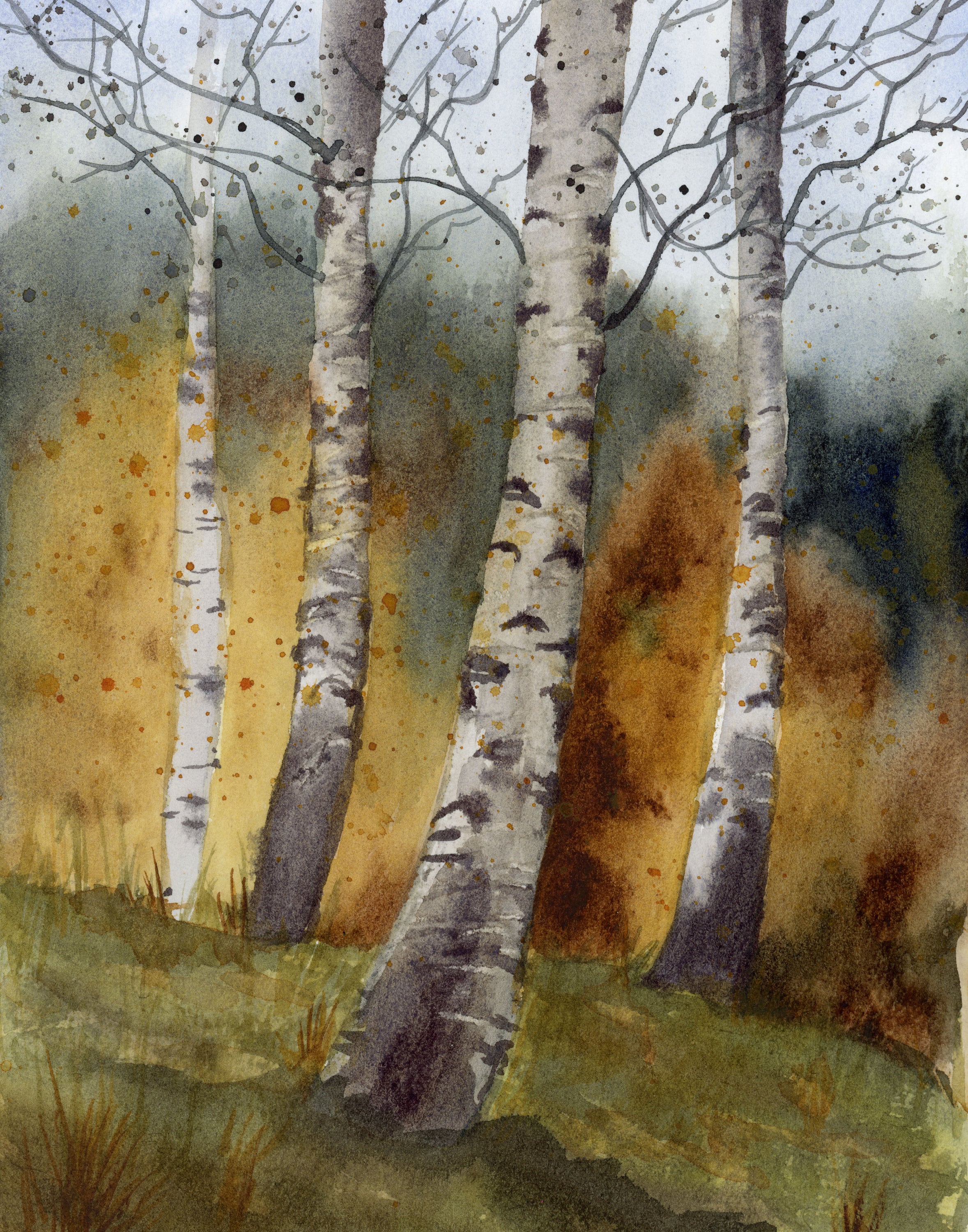 Birch Trees in Autumn