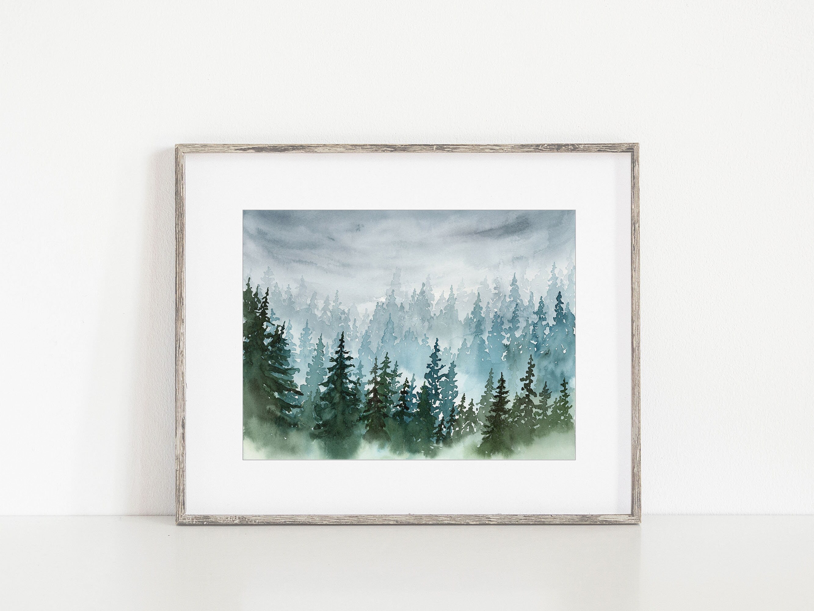 Foggy Pine Tree Forest