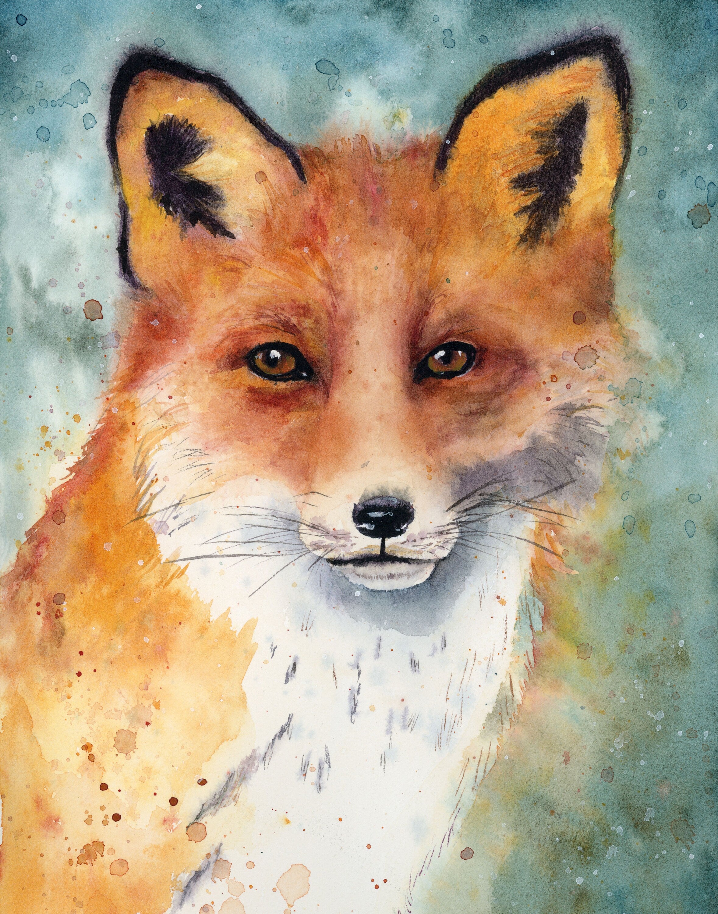 "Fox Stare"