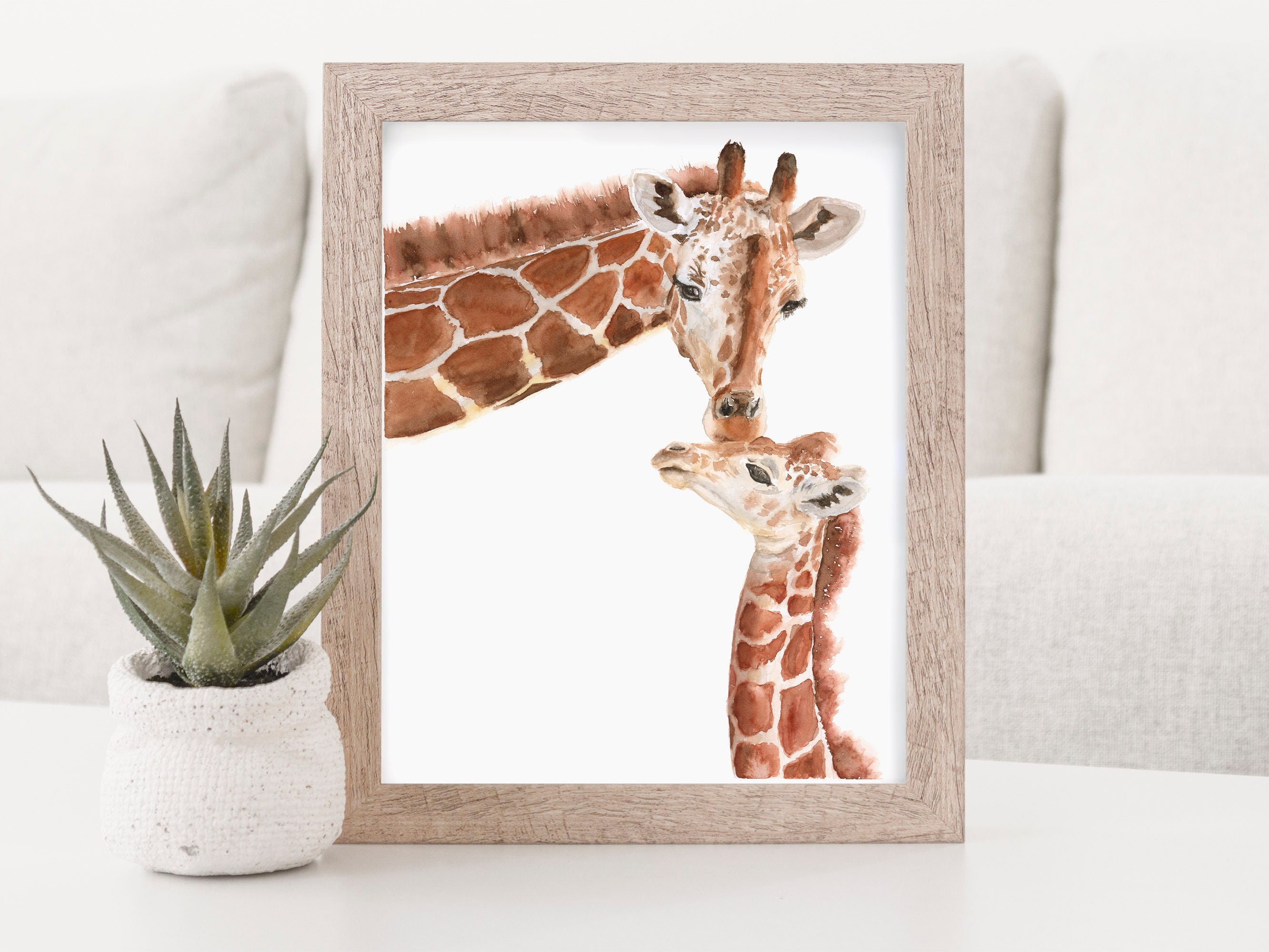 Giraffe Affection